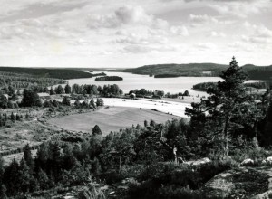 Fröskog