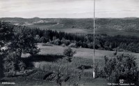 FroskogWeb Fröskog