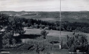 Fröskog