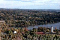 Froskog