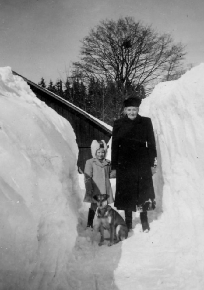 Vintern 1951