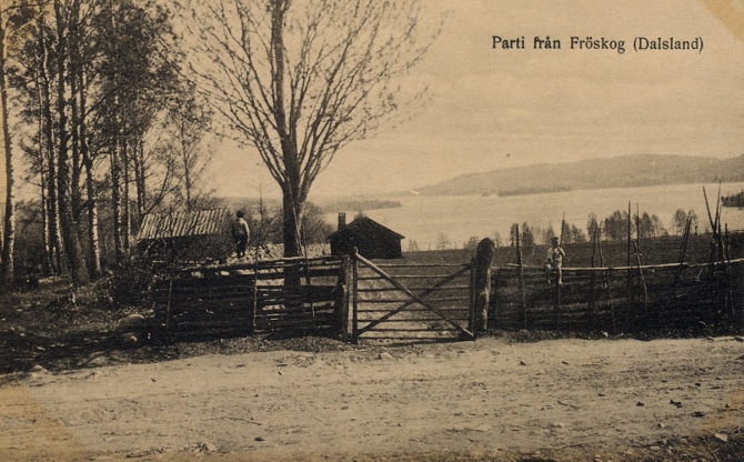 Parti från Fröskog
