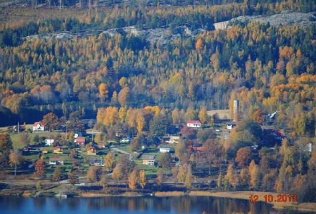 Fröskog i höstfärger