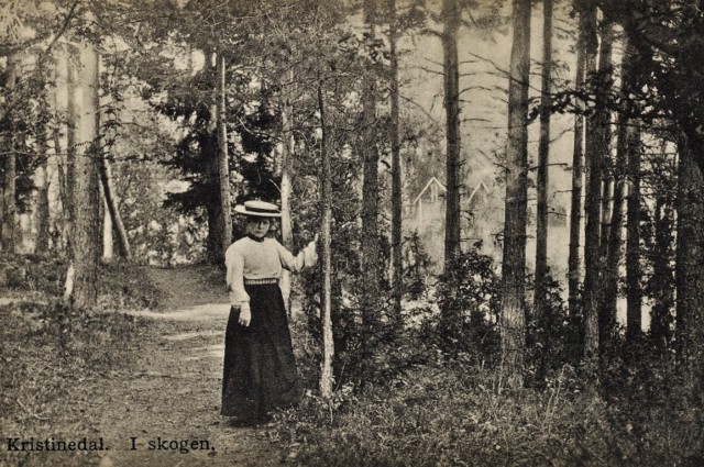 Kristinedal. I skogen.