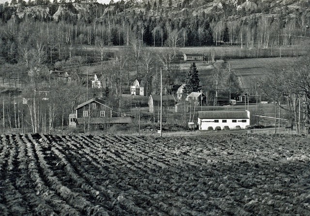 Fröskog