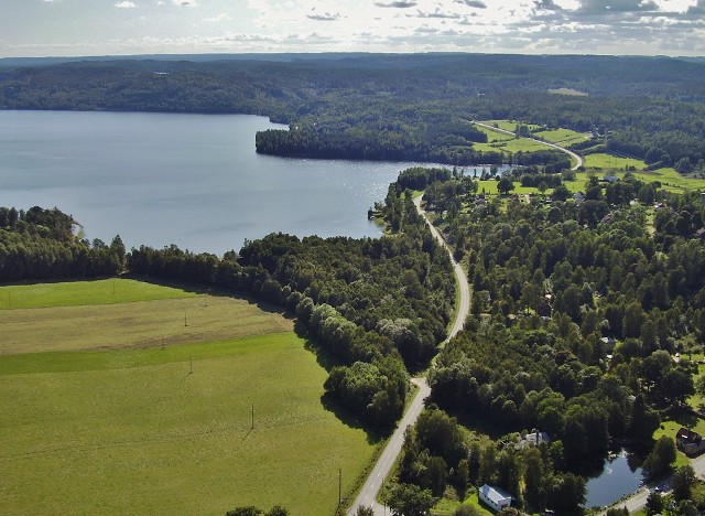 Fröskog från ovan. Del 3
