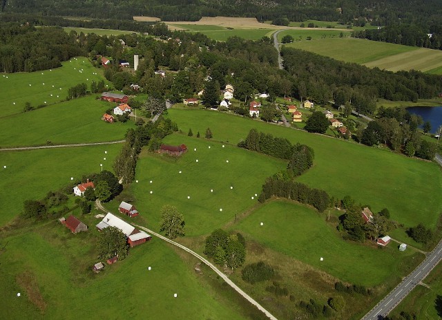 Fröskog från ovan. Del 1