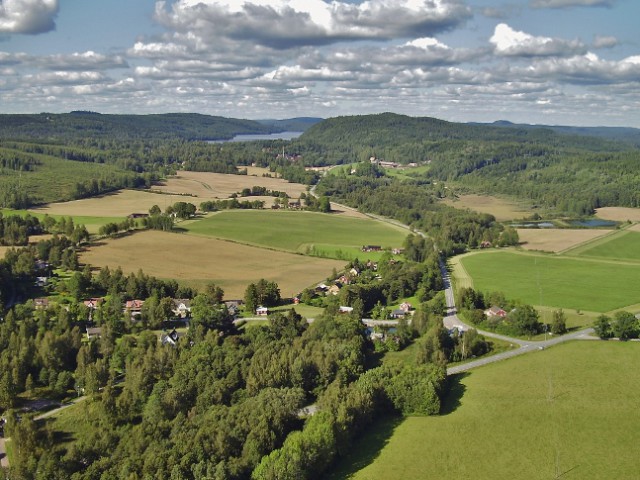 Fröskog från ovan. Del 2